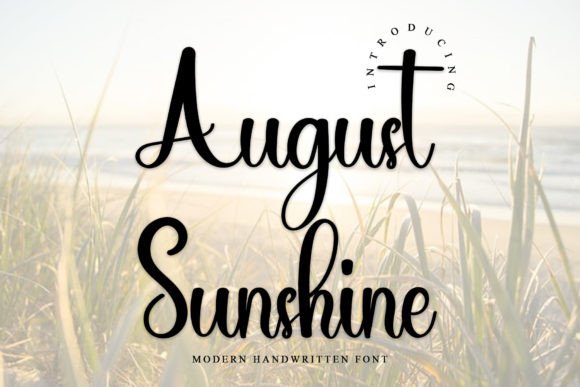 August Sunshine Font: A Campaign Designer’s Review