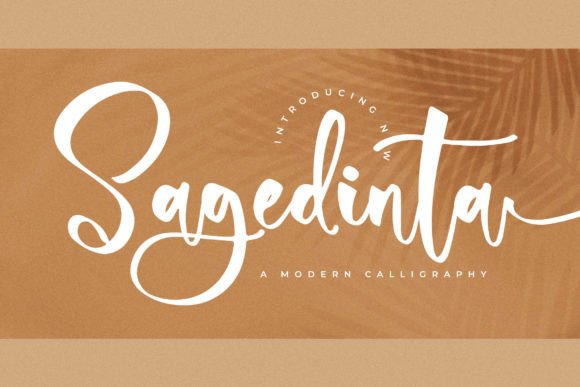 Sagedinta: A Modern Calligraphy Font for Campaign Design